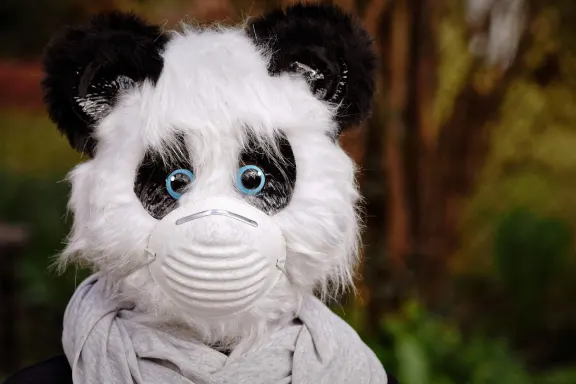 NoxWin Casino Assistance